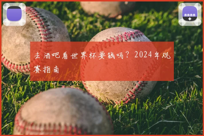 去酒吧看世界杯要钱吗?2024年观赛指南