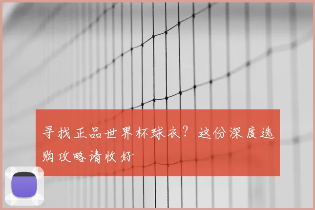 寻找正品世界杯球衣？这份深度选购攻略请收好