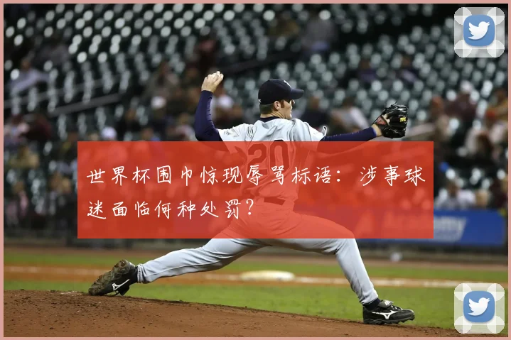 世界杯围巾惊现辱骂标语:涉事球迷面临何种处罚?
