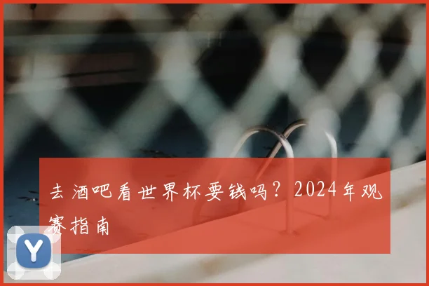 去酒吧看世界杯要钱吗?2024年观赛指南