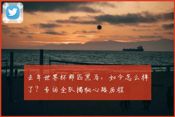 去年世界杯那匹黑马,如今怎么样了?专访全队揭秘心路历程