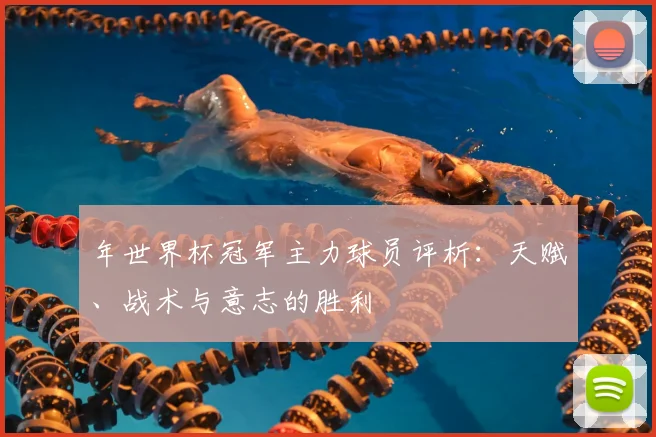 年世界杯冠军主力球员评析:天赋、战术与意志的胜利
