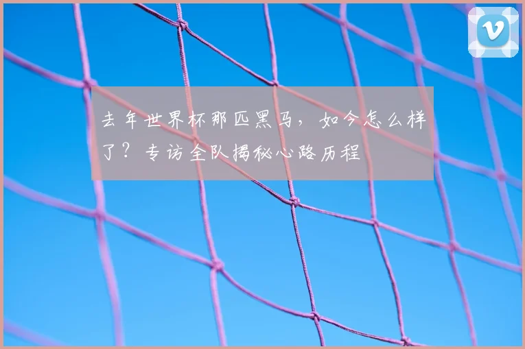 去年世界杯那匹黑马,如今怎么样了?专访全队揭秘心路历程